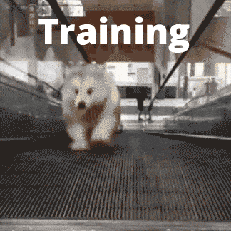 Your best day in production is your first day in production